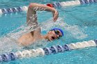 Swimming & Diving vs RWU  Swimming & Diving vs Roger Williams University. - Photo by Keith Nordstrom : Wheaton, Swimming